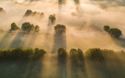 Walking Through The Mist! How do you train your mind to see beyond the mist?