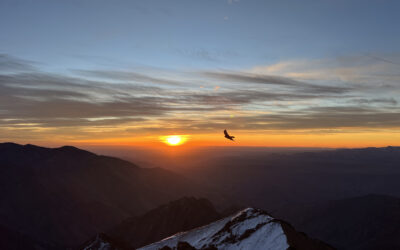 Embark on the Adventure of a Lifetime: Summit Mount Toubkal with Walking With My Bear